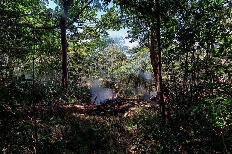 Steaming Fumaroles in the Rainforest of the National Park Rincon de la Vieja