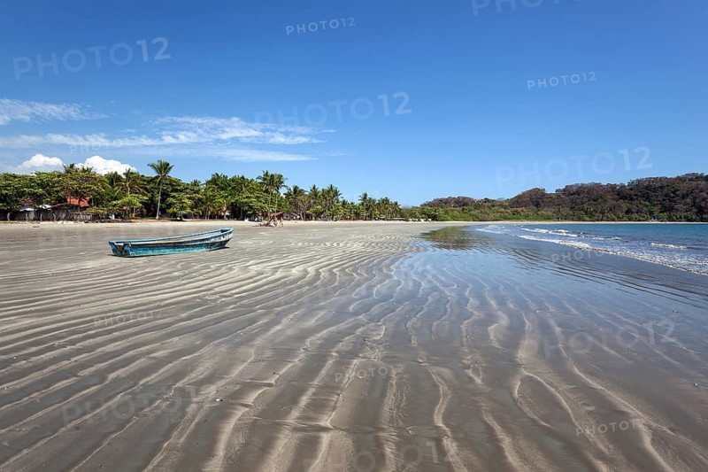 Palm trees and sandy beach at low tide in Samara