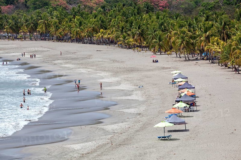 Sandy beach with palm trees