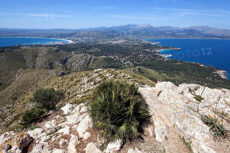 View from Talaia d'Alcudia