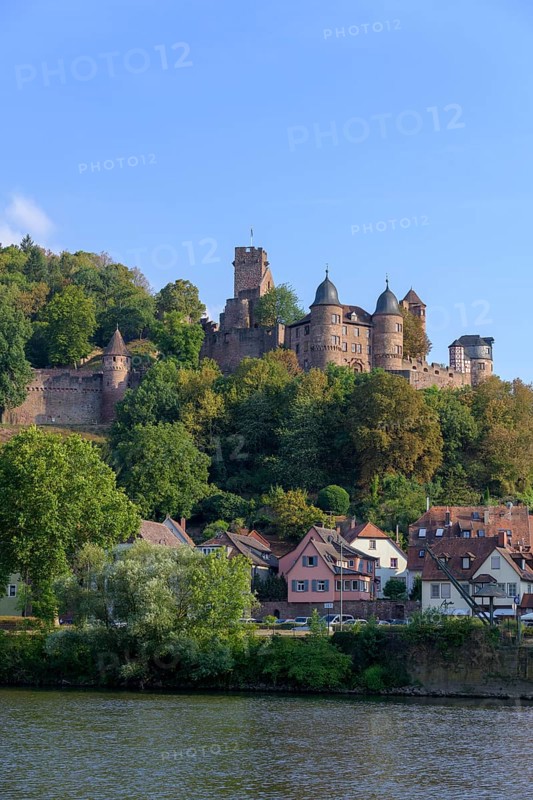 Castle Wertheim with river Main