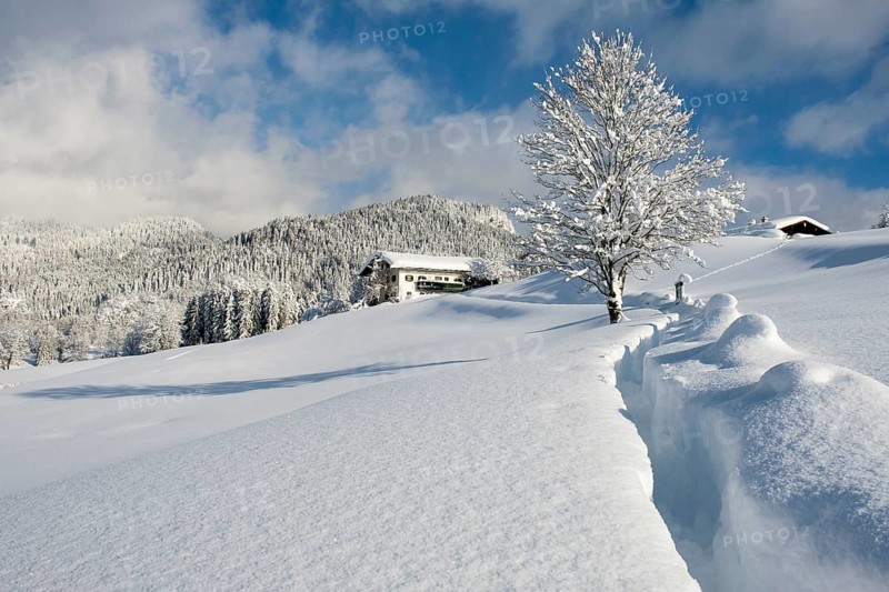 Winter landscape
