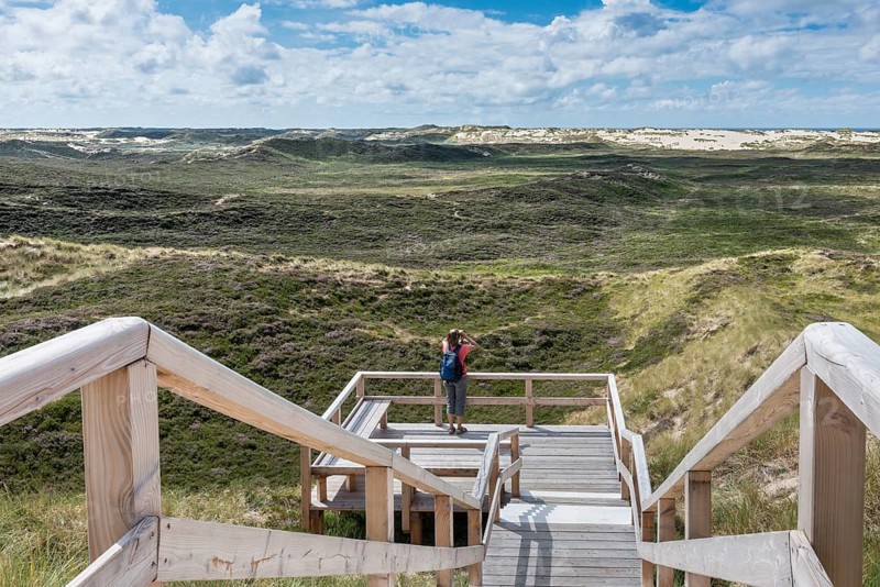 Dune landscape with lookout point