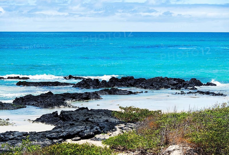 Lava rocks on the coast