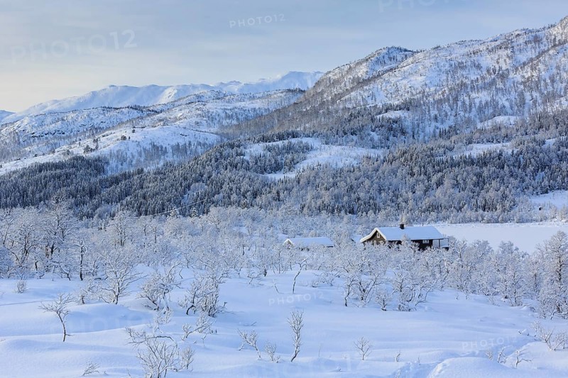 Wintry landscape