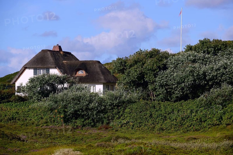 Typical Frisian house