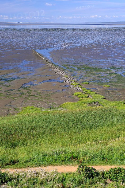 Low tide at the Wadden Sea