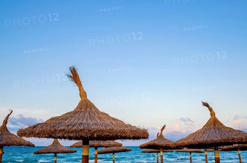 Sunshades by the sea