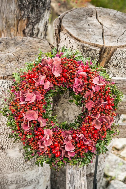 Autumn wreath tied to birch trunk with rosehip (Rosa canina)