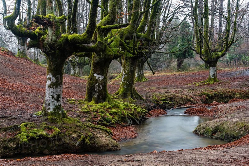 Gorbea Natural Park