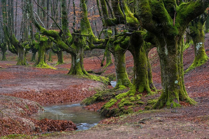 Gorbea Natural Park