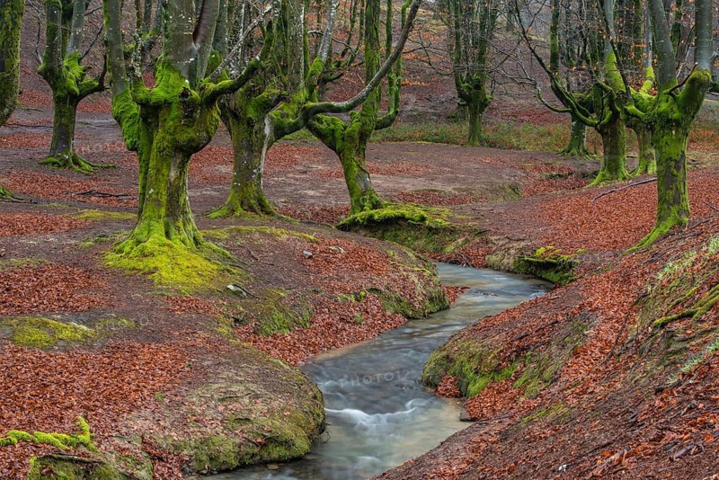 Gorbea Natural Park