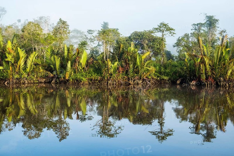 Morning atmosphere and water reflection in the river Sungai Sekonyer in Tanjung Puting National Park