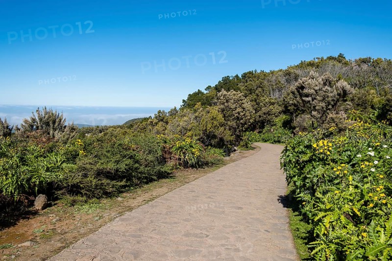 Hiking trail to the highest point of the island