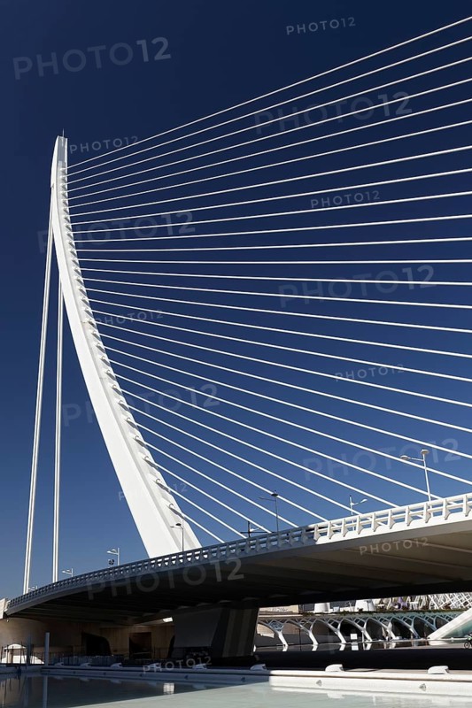 Harp-shaped cable-stayed bridge