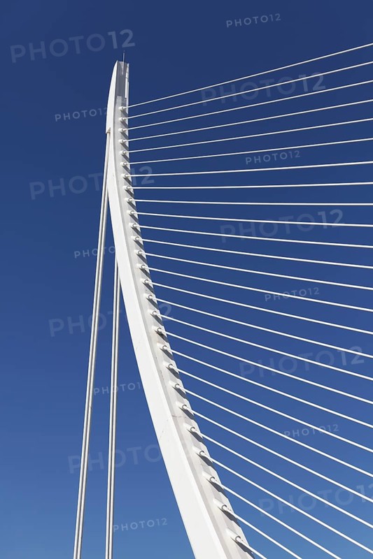 Harp-shaped cable-stayed bridge