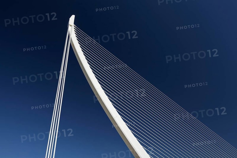 Harp-shaped cable-stayed bridge