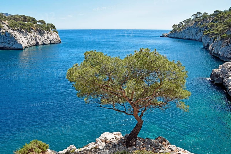 Calanque de Port Pin