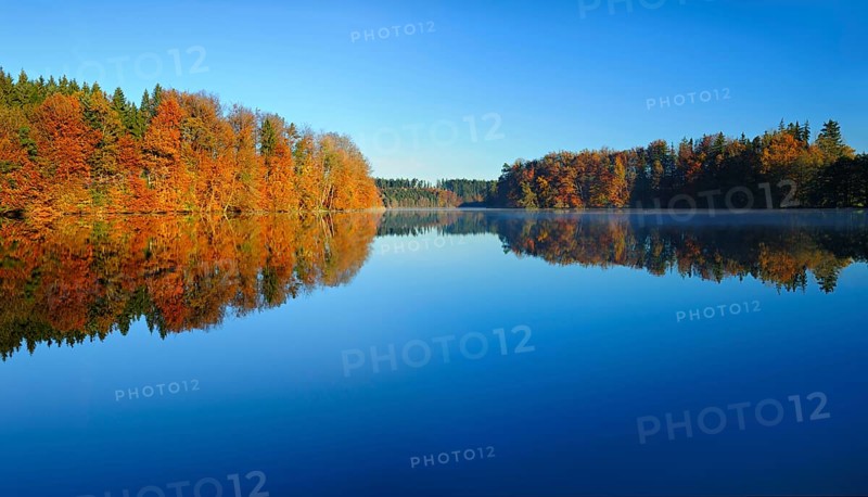 Silent lake in autumn