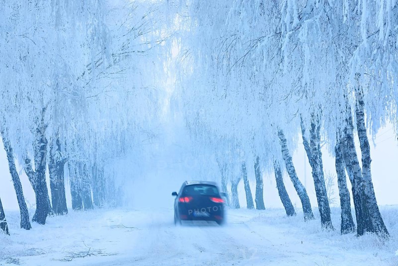 Car driving on snow-covered road through birch avenue with hoarfrost and fog