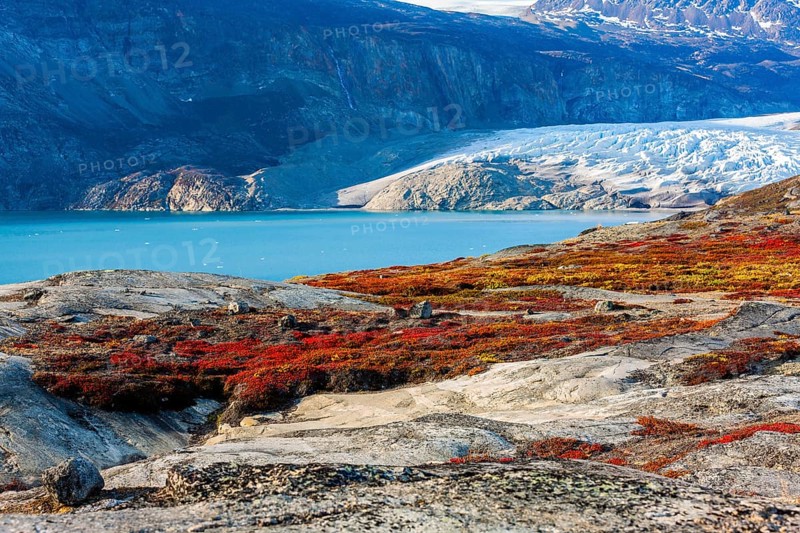 Colourful overgrown rocks in front of glacier tongue