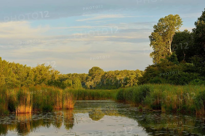 Morning light over a small lake
