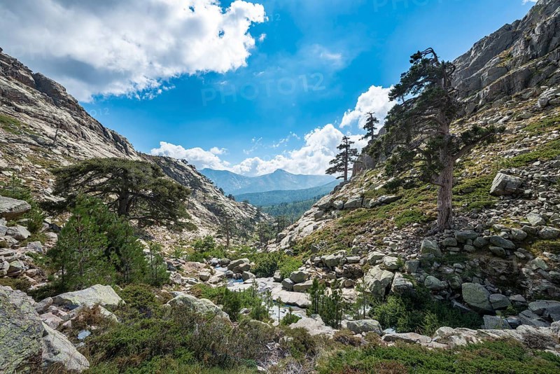 Mountainous landscape in Golo Valley