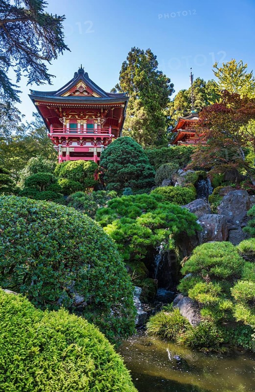 Japanese Tea Garden