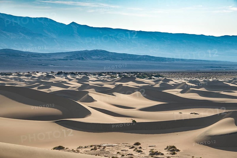 Mesquite Flat Sand Dunes