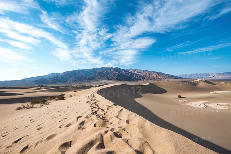 Sand dune tracks