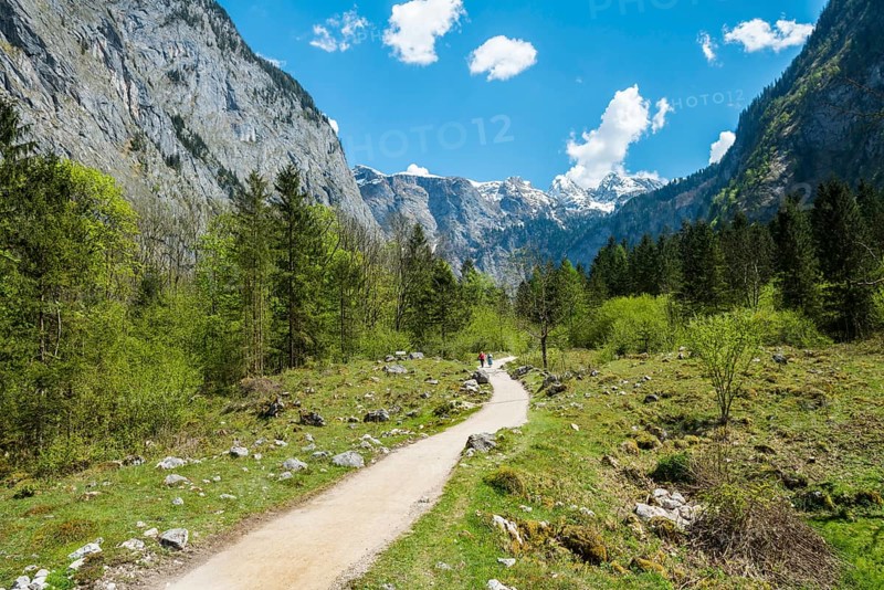 Trail from the Salet-Alm to Obersee