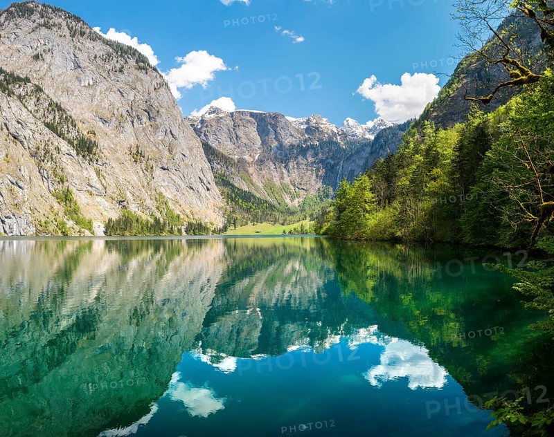 Obersee
