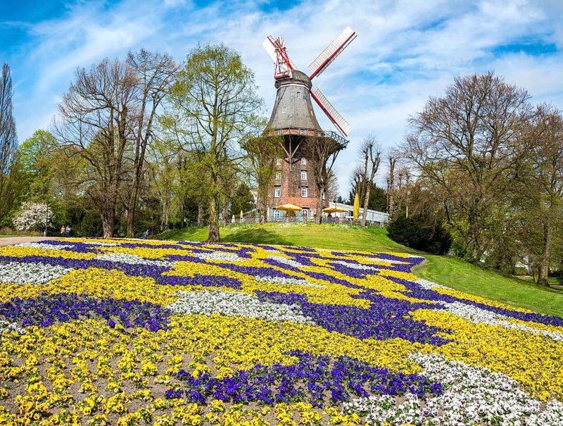 Windmill with colorful flowerbeds
