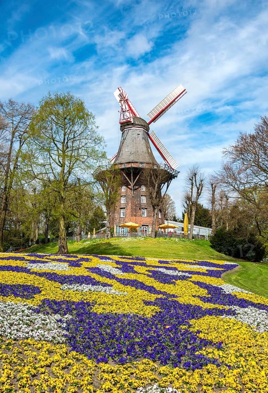 Windmill with colorful flowerbeds