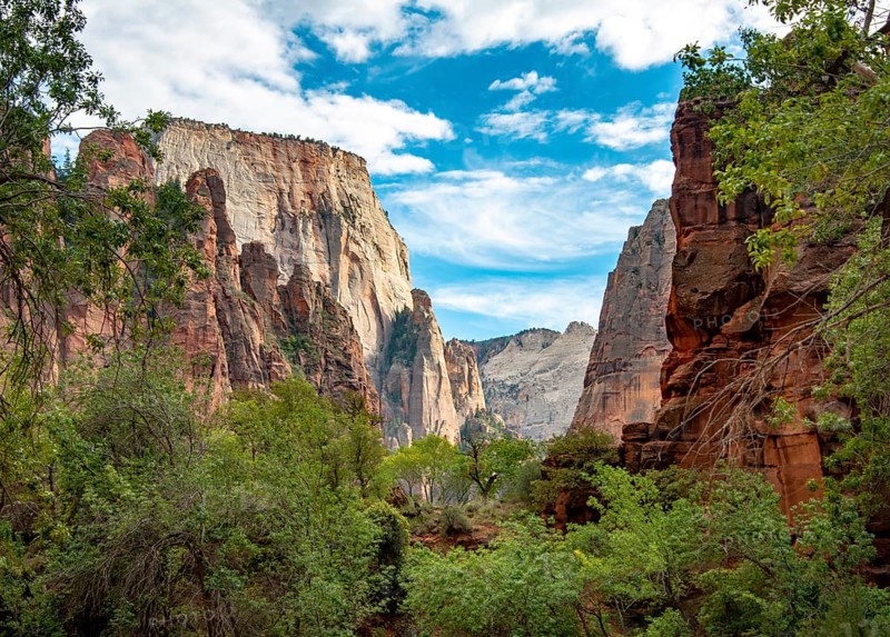 View in Zion Canyon with Mount Great White Throne
