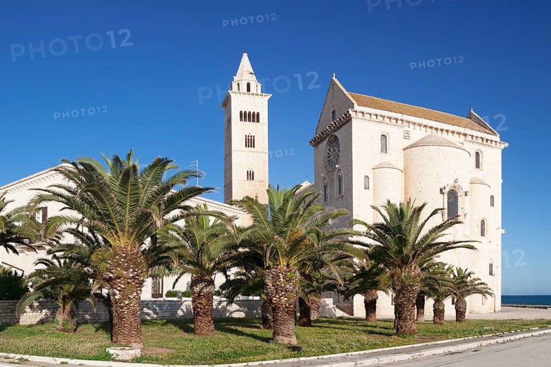 Cathedral San Nicola Pellegrino