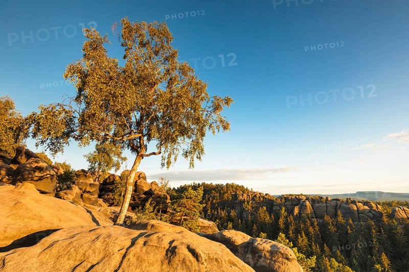 Carolafelsen at evening light