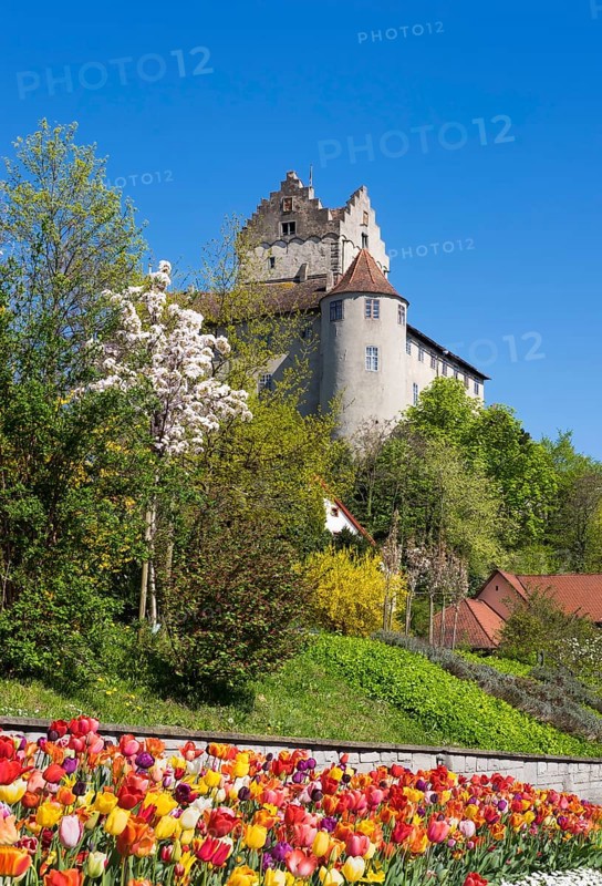 Meersburg castle in spring