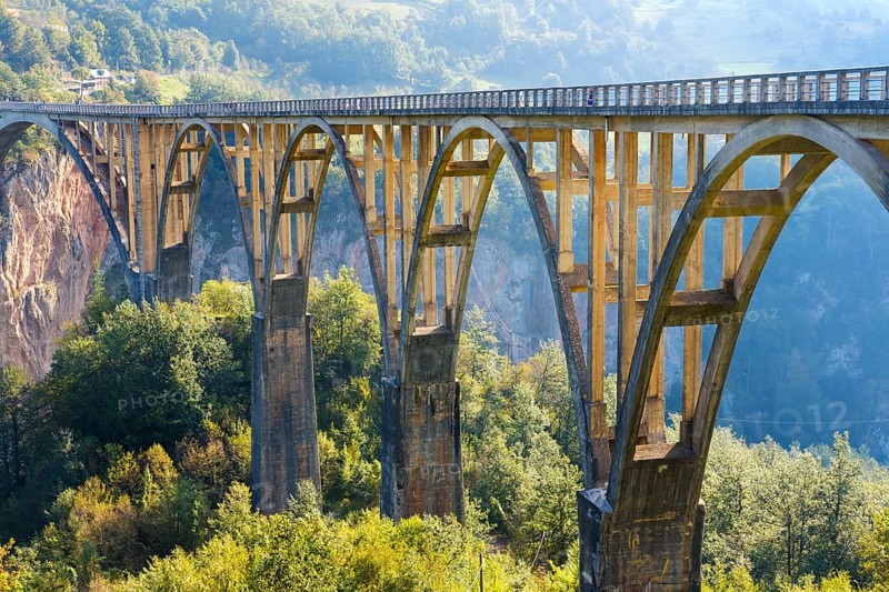 Tara Bridge