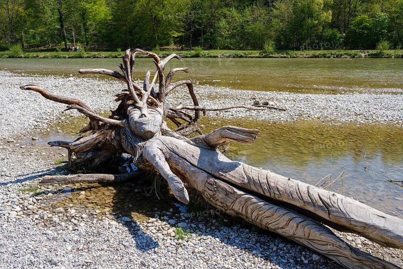 Artfully carved figure from a tree trunk on the river bank