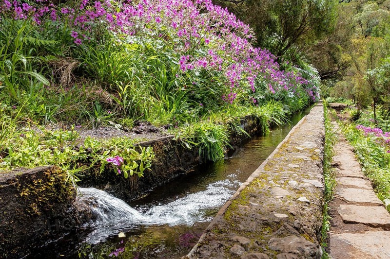 Levada in the Rabacal Valley near Calheta