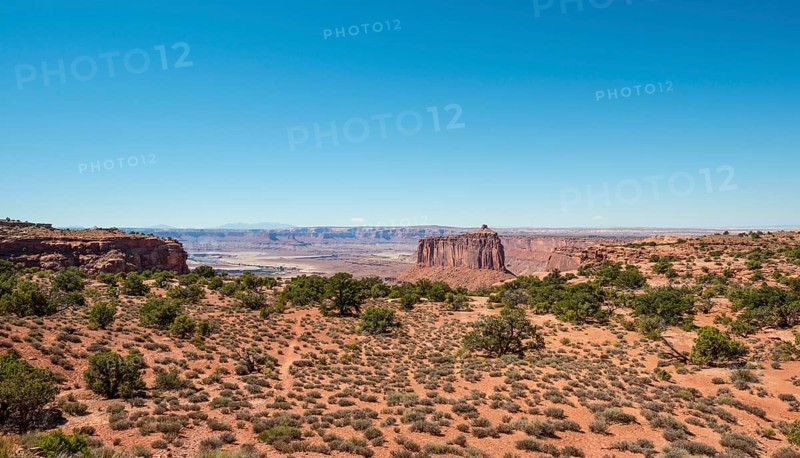 Canyon Landscape