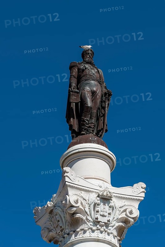 Monument Dom Pedro IV. with pigeon on his head