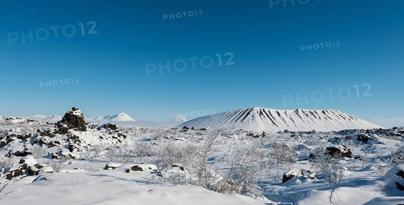 Snowy landscape