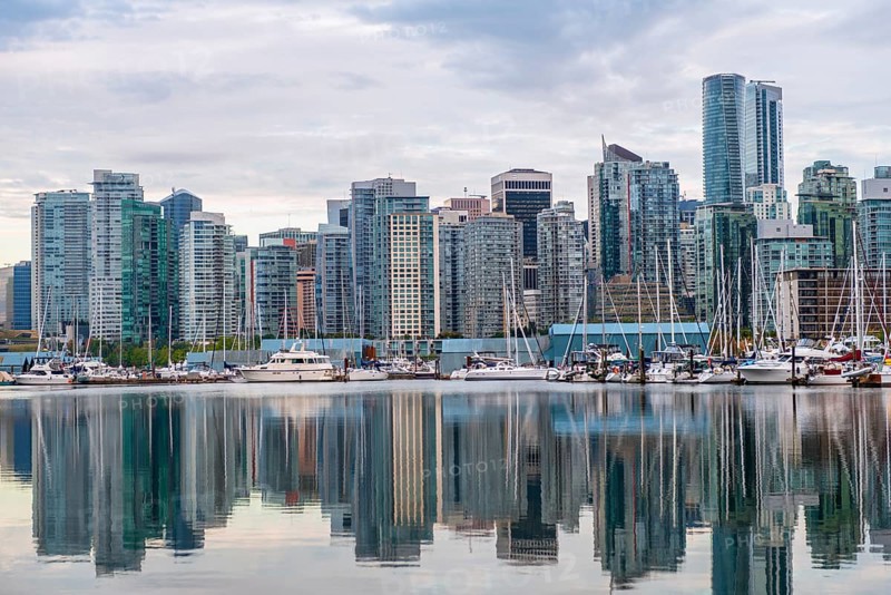 Skyscrapers and sailboats in the marina