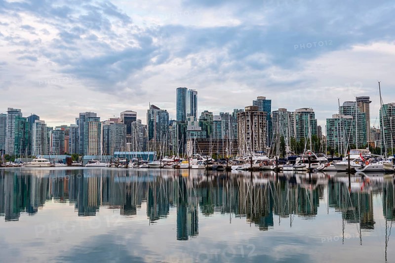 Skyscrapers and sailboats in the marina