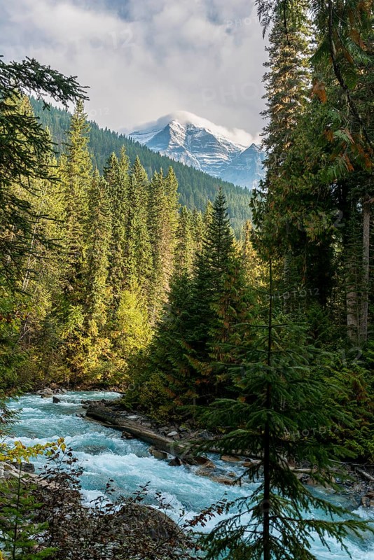 Robson River
