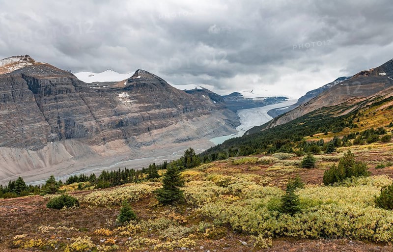 View in valley with glacier tongue