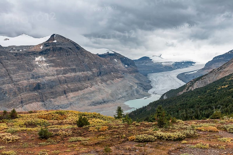 View in valley with glacier tongue