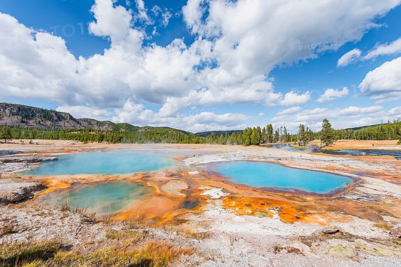 Black Opal Pool
